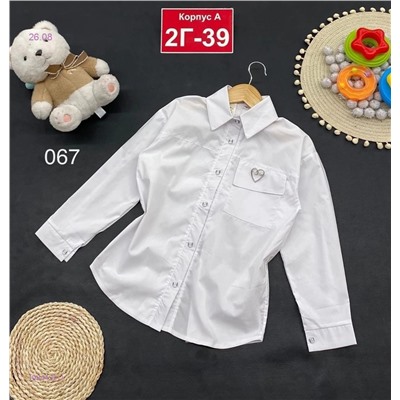 рубашка 1984432-1