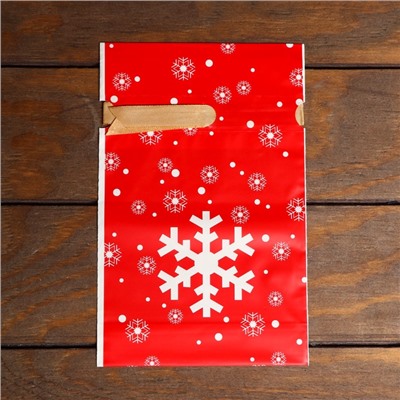 Пакет полиэтиленовый подарочный новогодний, с завязками «Снежинки», 15×23 см
