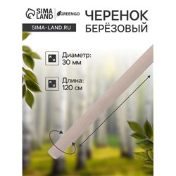 Черенок берёзовый, d=30 мм, длина 120 см, высший сорт, Greengo