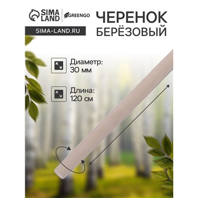 Черенок берёзовый, d=30 мм, длина 120 см, высший сорт, Greengo