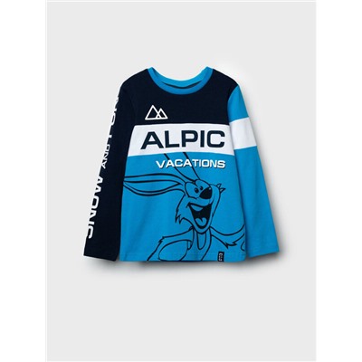 Фуфайка трикотажная для мальчиков (футболка с длинными рукавами)