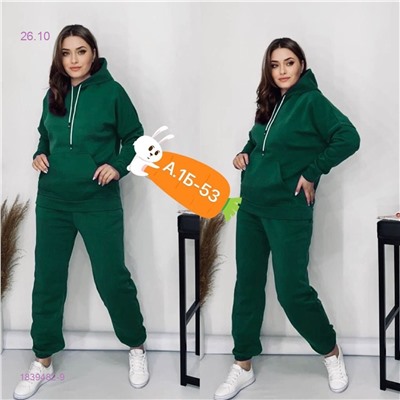 Костюм с начесом 1839482-9