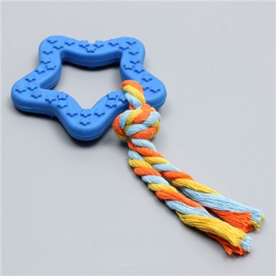Игрушка жевательная с канатом «Звезда с хвостом», синяя