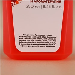 Подарочный набор новогодний женский «Пряное наслаждение»: гель для душа и пена для ванны, 2×250 мл, URAL LAB