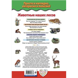 Эксмо Ю.К. Школьник "Животные наших лесов. Все лесные звери России"