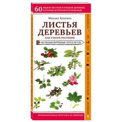 Эксмо Михаил Куценко "Листья деревьев. Как узнать растение"
