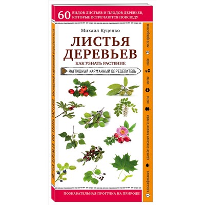 Эксмо Михаил Куценко "Листья деревьев. Как узнать растение"