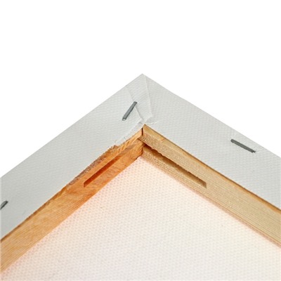 Холст на подрамнике, хлопок 100%, 1.6×40×60 см, акриловый грунт, среднезернистый, 380 г/м²