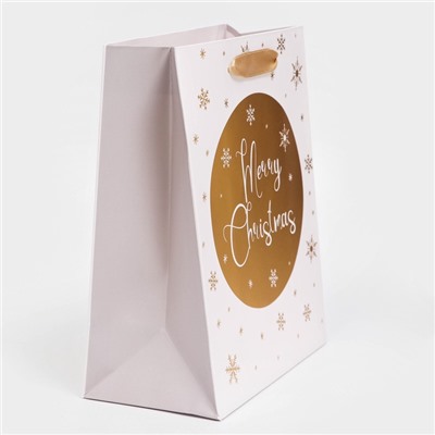 Пакет подарочный новогодний ламинированный «Золотые снежинки»,18×23×10 см