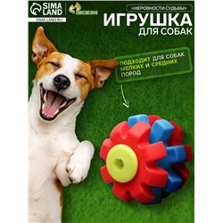 Игрушка жевательная «Неровности судьбы», TPR, 7 см, жёлтая/красная/голубая