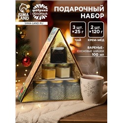 Подарочный новогодний набор «Советский»: чай травяной 25 г × 3 шт., варенье с шишками 100 мл., крем-мёд 120 г × 2 шт.