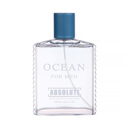 Туалетная вода мужская Absolute Ocean (по мотивам Aqua Pour Homme), 100 мл