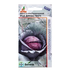Семена Капуста краснокочанная, «Ред Династи», F1, 10 шт., Seminis, «Агрос»