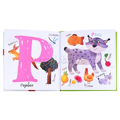 Развивай-ка. Первая азбука с цветовыми ассоциациями 2+