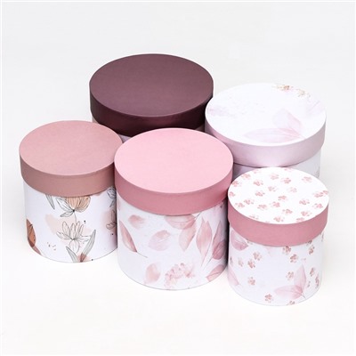 Набор шляпных подарочных коробок 5 в1 «Легкость», 20×20 - 15×15 см