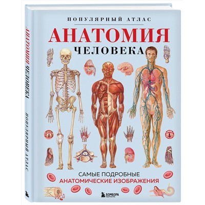 Эксмо "Анатомия человека. Популярный атлас. Самые подробные анатомические изображения"