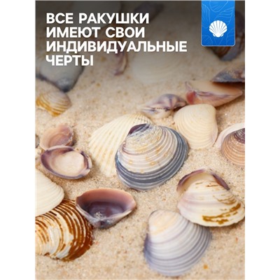 Набор ракушек Rose petal tellin, 100 г