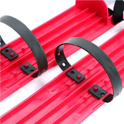 Мини-лыжи большие РТ-2, МИКС