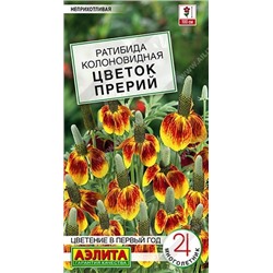 Ратибида Цветок Прерий