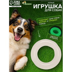 Игрушка для собак «Кольцо», светящаяся в темноте, 9.5 см