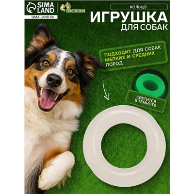 Игрушка для собак «Кольцо», светящаяся в темноте, 9.5 см