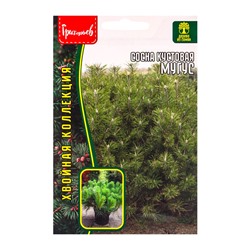 Семена Сосна Мугус кустовая 10 шт. 12.29 г.