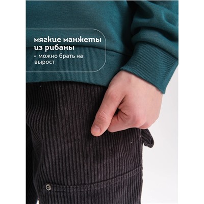 PELICAN Толстовка BFNK3370/1