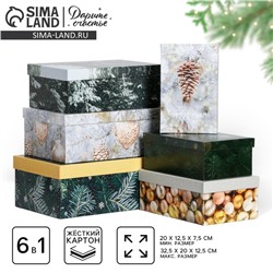 Набор подарочных коробок 6 в 1 «Снежной зимы», 32.5×20×12.5 - 20×12.5×7.5 см, Новый год