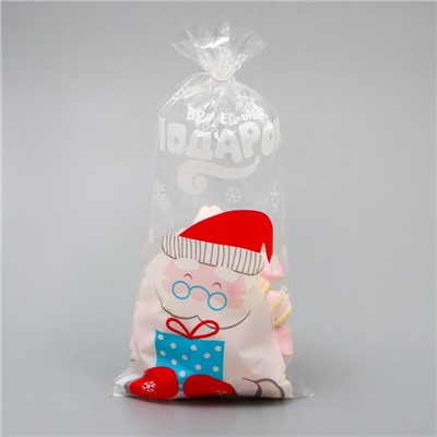 Пакет БОПП новогодний «Дед Мороз», 13×27 см