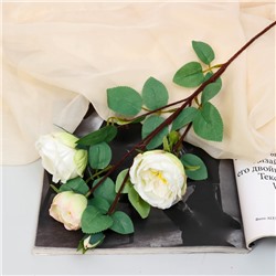 Цветы искусственные «Роза пионовидная галант», 7×61 см, белые