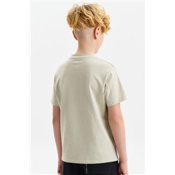 Футболка для мальчиков PELICAN, 1232817