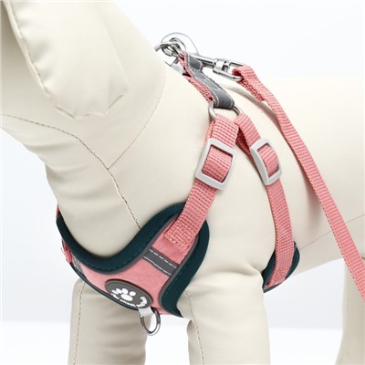 Комплект Sport+, XS, поводок 120×1.5 см, ОШ 37-39 см, ОГ 41-46 см, вес животного 4-6 кг, розовый