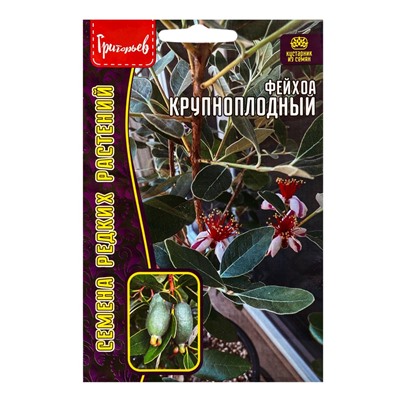 Семена Фейхоа «Крупноплодный», 7 шт., «Григорьев»