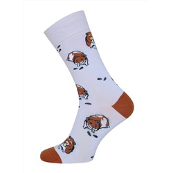 БРЕСТСКИЕ Носки 4200