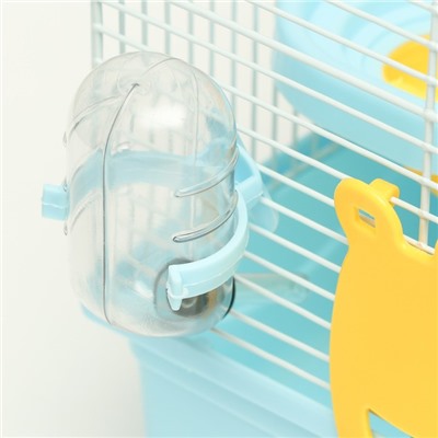 Клетка для грызунов «Пижон», 31×24×27 см, с замком, пластик, металл, голубая