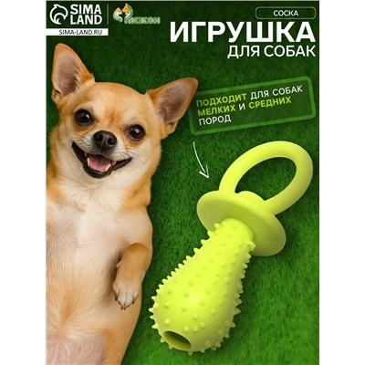 Жевательная игрушка для собак «Соска», 10×3 см, TPR, салатовая