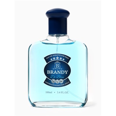 Туалетная вода мужская Brandy De Bleu, 100 мл