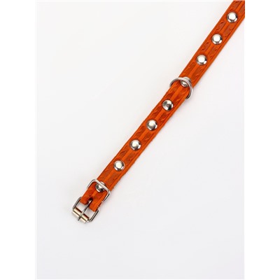 Ошейник, 29×1.2 см, ОШ 18-25 см, однослойный, украшенный, кожа, цвет МИКС