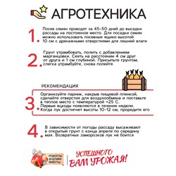 Семена Лук шнитт "Чемал", 0,2 г