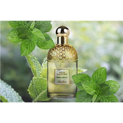 Guerlain Aqua Allegoria Herba Fresca