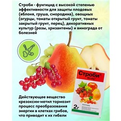 Фунгицид для растений Строби  2 гр.