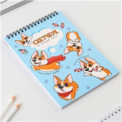 Скетчбук А5, 40 л 100 г/м2 «Корги»