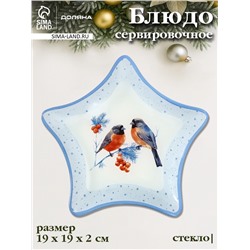 Блюдо новогоднее сервировочное Доляна «Снегири на ветке», d=19 см, стекло, голубое