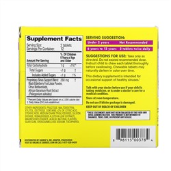 Zarbee's, Sinus & Respiratory Support with African Geranium Root, Natural Berry , 24 Chewable Tablets