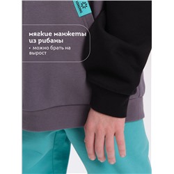 PELICAN Толстовка BFNK3369/1