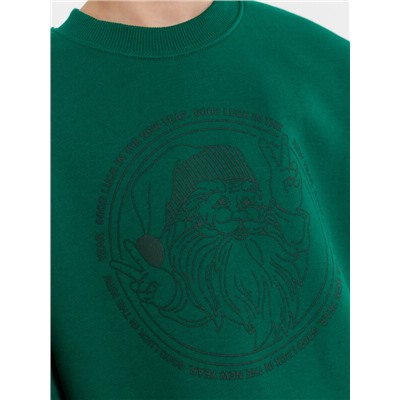 СВИТШОТ ДЛЯ МАЛЬЧИКОВ 123437/1