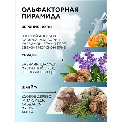 Туалетная вода для мужчин Vent d' Aventures