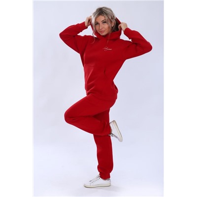 Толстовка 27337 (Красный)