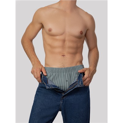 ТРУСЫ МУЖСКИЕ (2ШТ) 411152-2