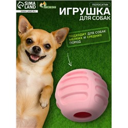 Мяч для собак «Полосатик», 6 см, рифлёный, TPR, розовый